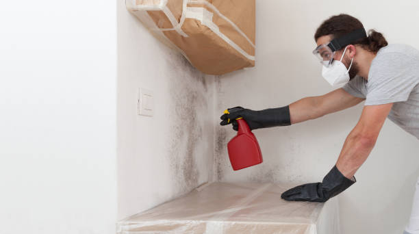 Professional Commercial Mold Remediation technician working in Edgewood, TX